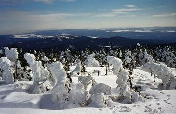 ヴルム山（海抜971m）の冬景色